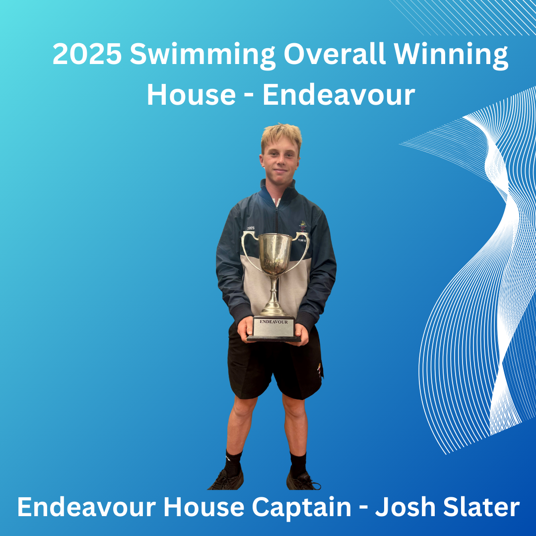 /uploaded_files/media/gallery/1739769448Swimming Winning House.png